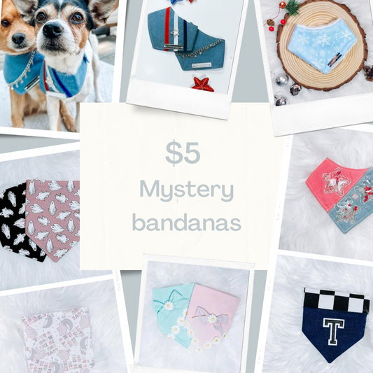 $5 mystery bandanas